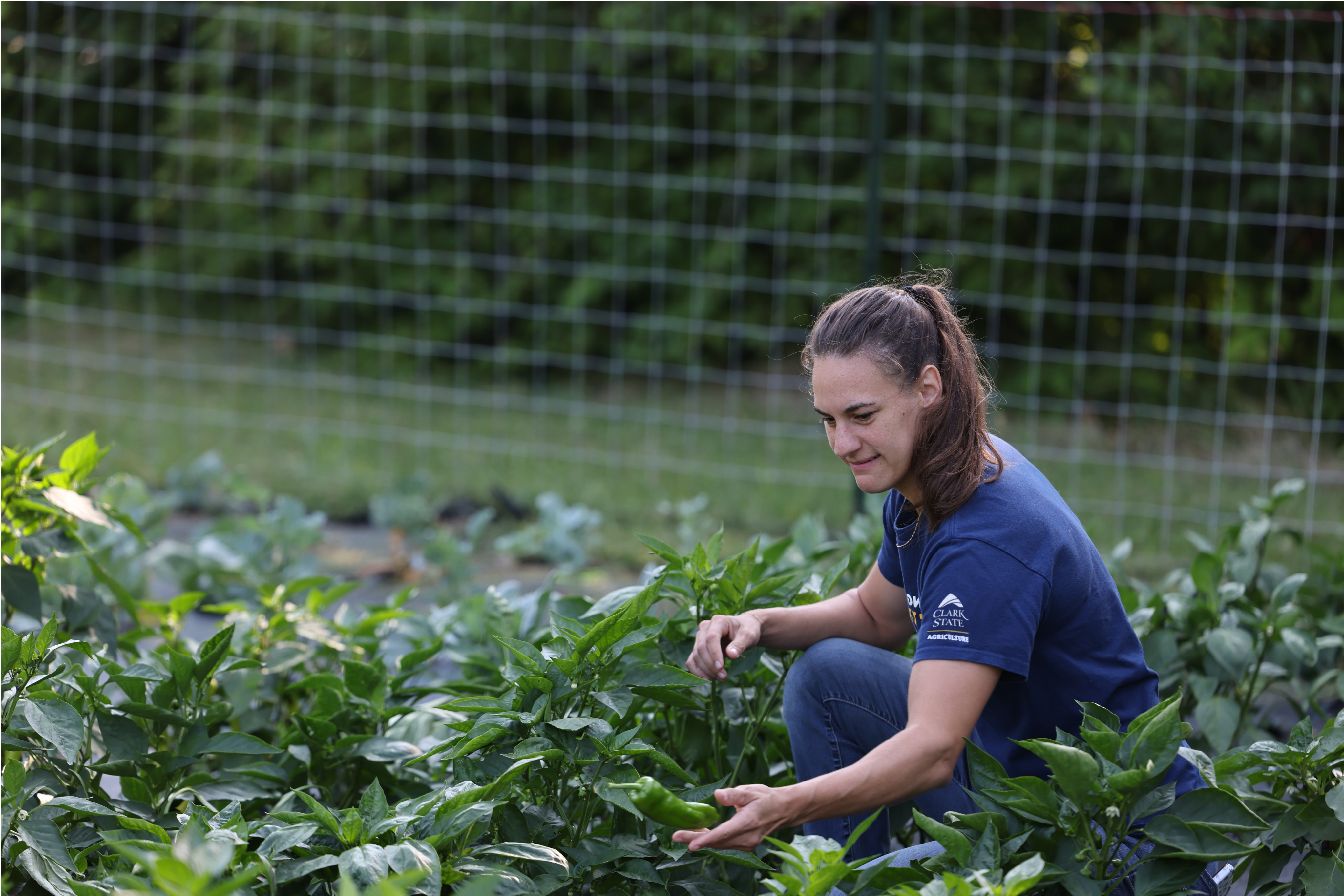 Student in a field harvesting