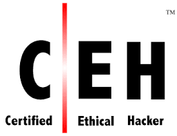 CompTia A+ Logo